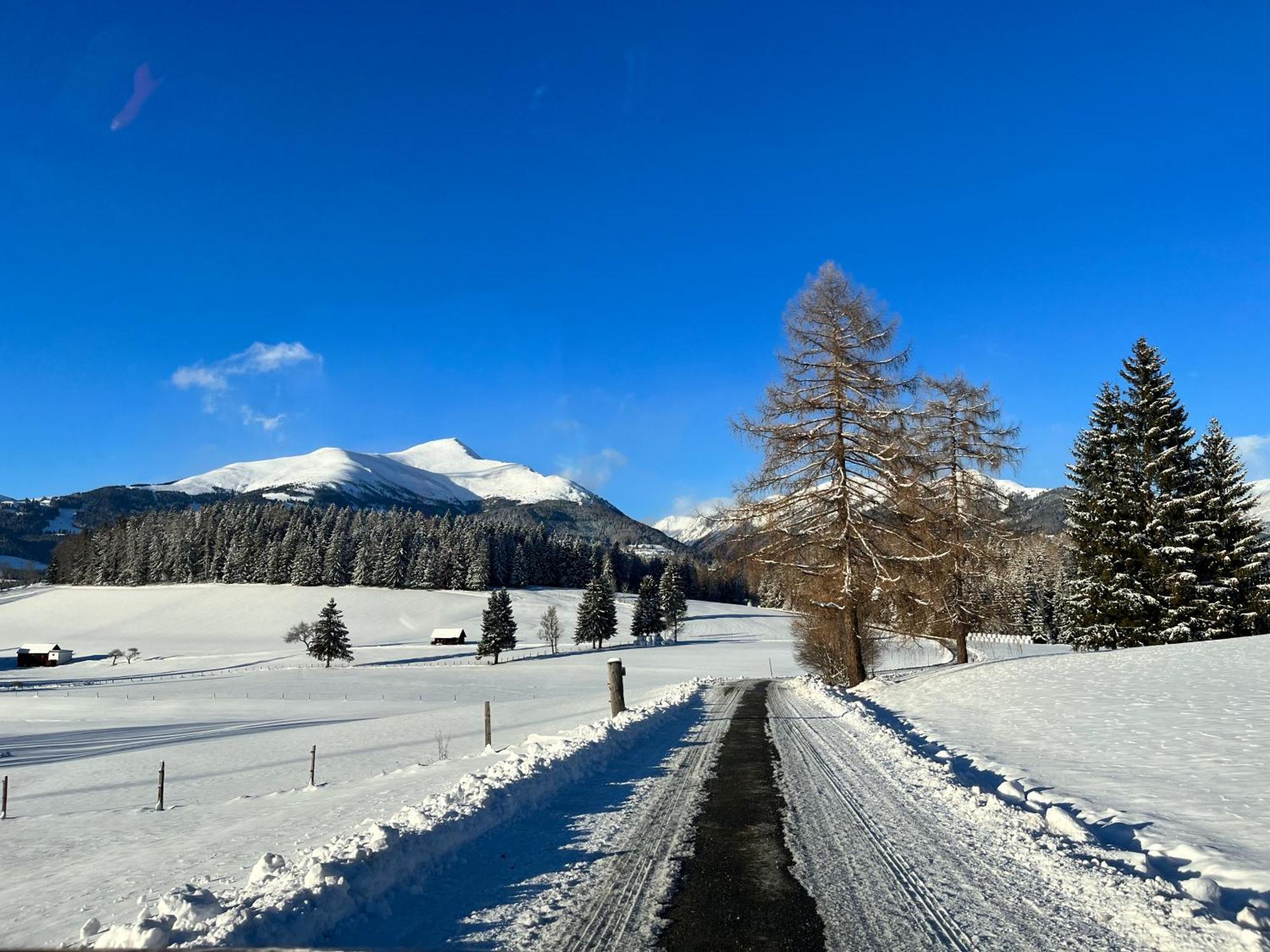 Feistritz am KammersbergChalet Am Teich Familie Gaenser别墅 外观 照片